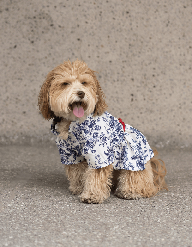 SILVER PAW Brigitte Dog Dress image number 5