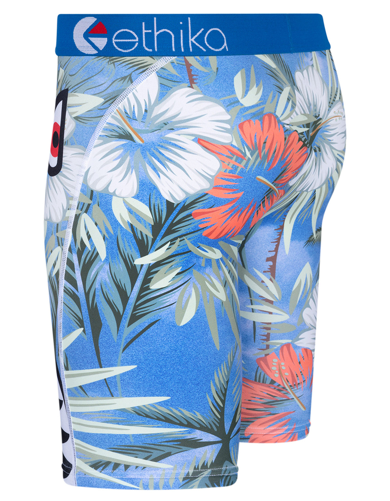 ETHIKA Bomber Lei'd Staple Mens Boxer Briefs image number 1