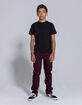 RSQ London Blackberry Boys Skinny Chino Pants image number 2