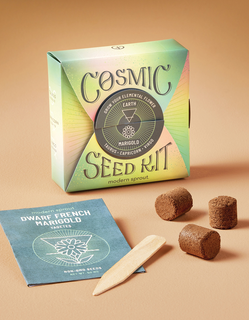MODERN SPROUT Cosmic Seed Kit - Earth Marigold image number 6