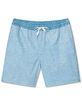 CHUBBIES Whale Sharks Boys 5.5'' Volley Shorts image number 2