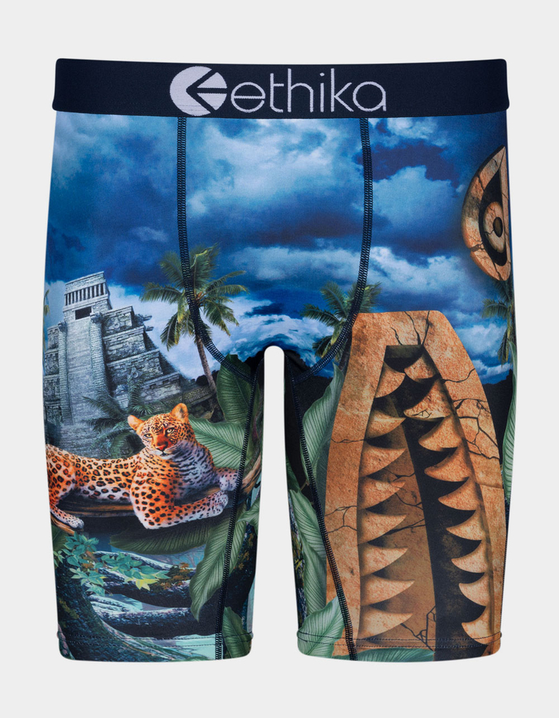 ETHIKA Aztecat Staple Boys Boxer Briefs image number 0
