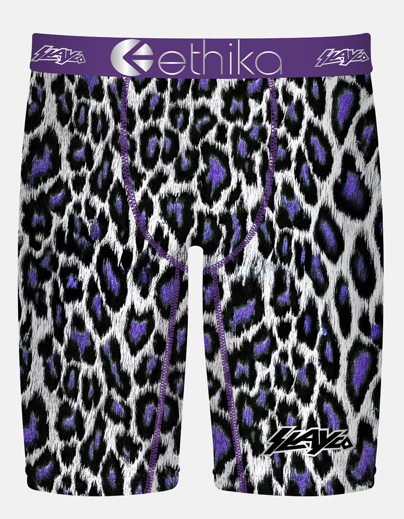 ETHIKA Axell Hodges Signature Series Staple Mens Boxer Briefs image number 0