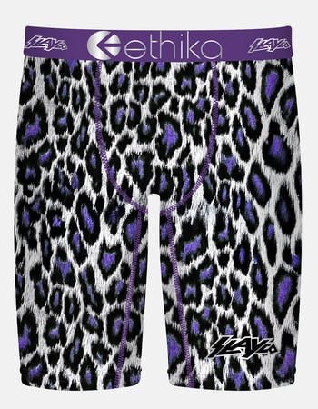 ETHIKA Axell Hodges Signature Series Staple Mens Boxer Briefs Primary Image