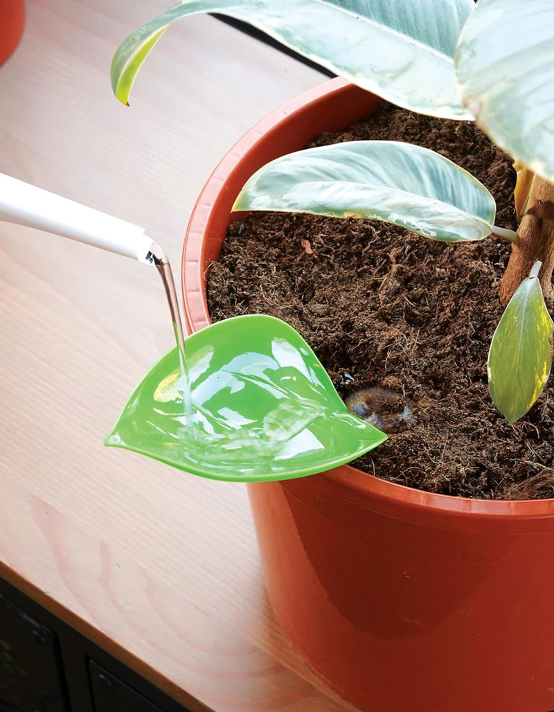 Foliage Funnels 6 Pack Precise Watering Tools image number 1