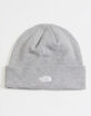 THE NORTH FACE Norm Beanie image number 1