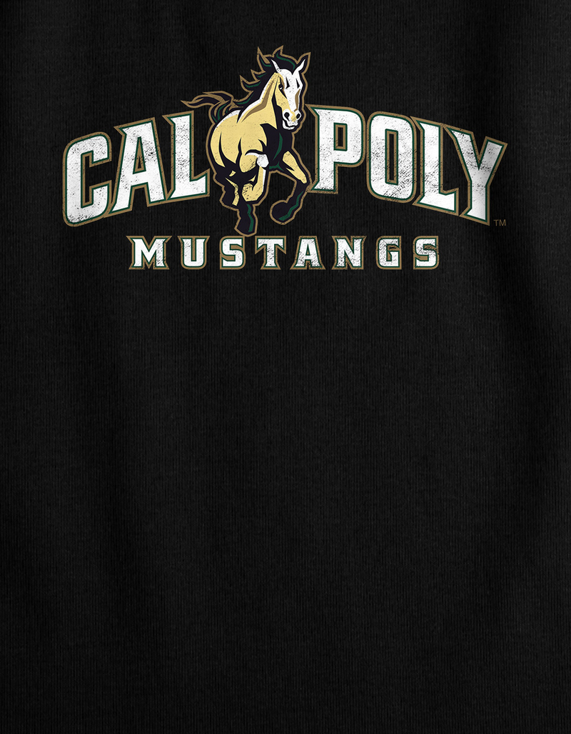 CALIFORNIA POLYTECHNIC STATE UNIVERSITY Distressed Primary Logo Womens Cropped Tank Top image number 2