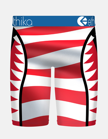 ETHIKA Team USA Staple Mens Boxer Briefs Alternative Image