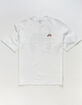 NIKE SB Scorpion Mens Tee image number 2