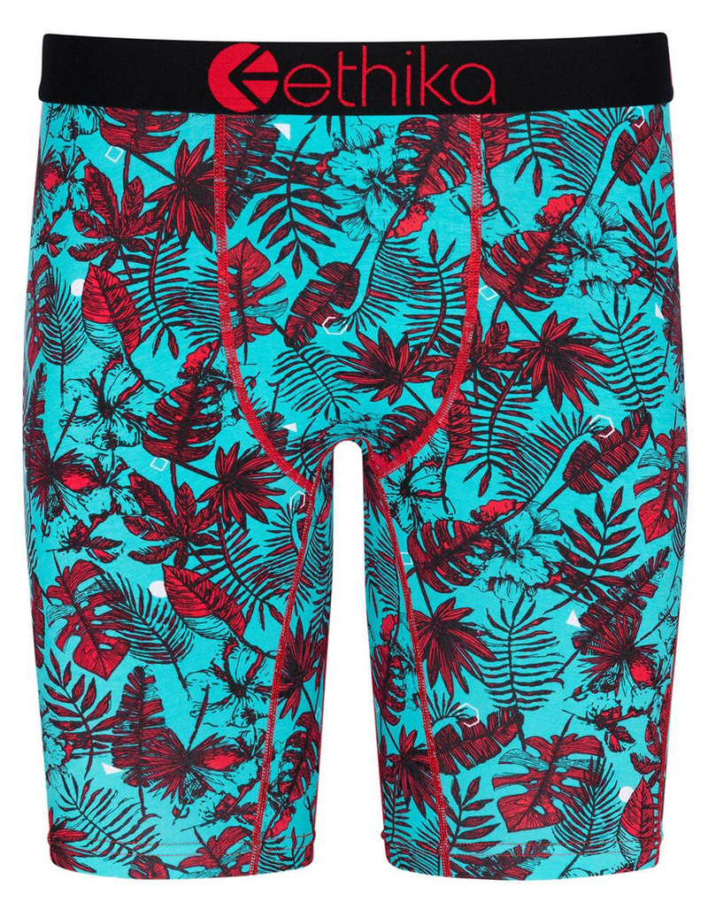 ETHIKA Shape Shifter Staple Boys Boxer Briefs image number 0