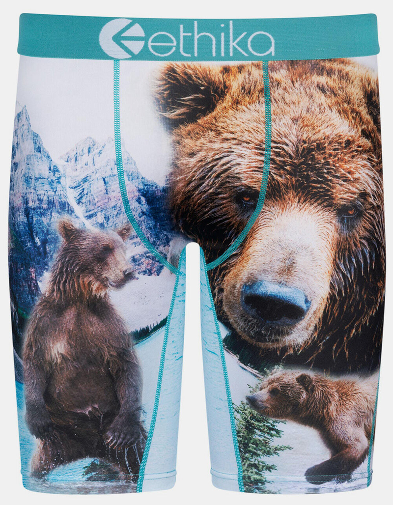ETHIKA Brother Bears Mens Boxer Briefs image number 0