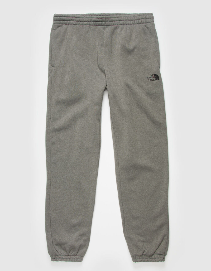 THE NORTH FACE Vert Mens Gray Sweatpants image number 0
