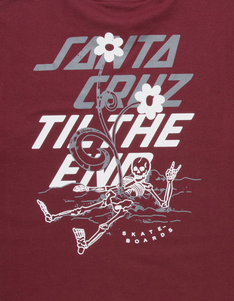 SANTA CRUZ Unwind Mens Tee image number 2