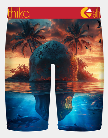 ETHIKA Skol Island Staple Mens Boxer Briefs Alternative Image