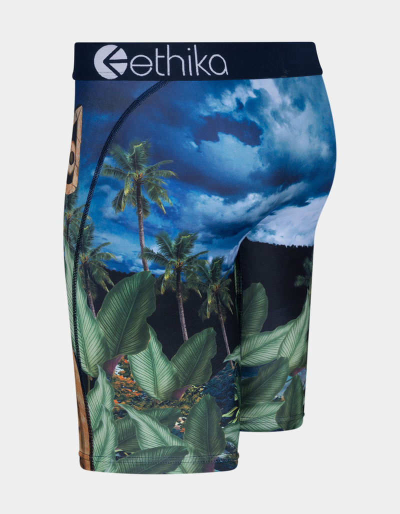 ETHIKA Aztecat Staple Boys Boxer Briefs image number 1