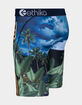ETHIKA Aztecat Staple Boys Boxer Briefs image number 2
