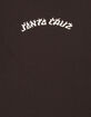 SANTA CRUZ Flame Arc Mens Tee image number 3