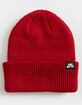 NIKE SB Fisherman Beanie image number 1