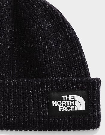 THE NORTH FACE Salty Beanie Alternative Image