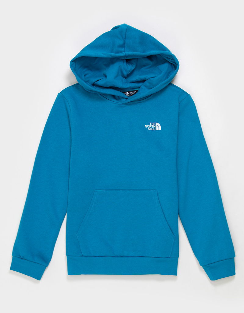 THE NORTH FACE Evolution Embroidered Boys Hoodie image number 0