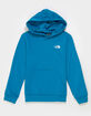 THE NORTH FACE Evolution Embroidered Boys Hoodie image number 1