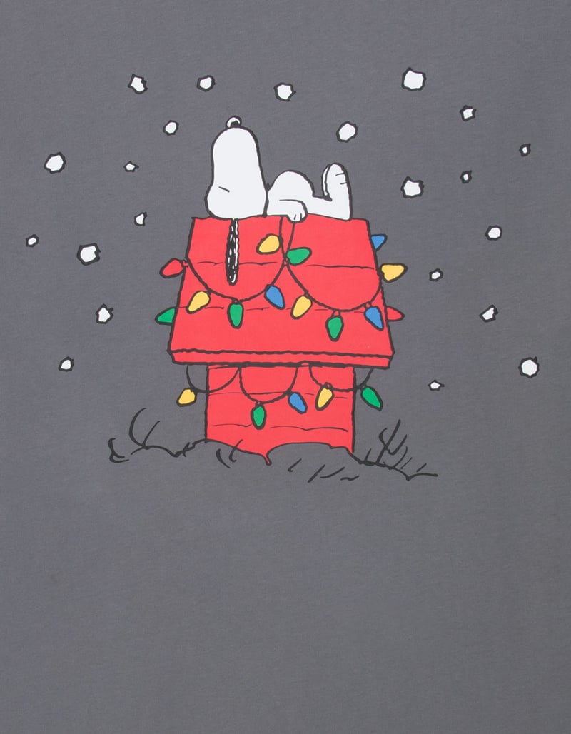 RSQ x Peanuts Snoopy's Doghouse Mens Boxy Tee image number 1