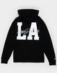 MITCHELL & NESS NHL Los Angeles Kings Home Team Mens Hoodie image number 2
