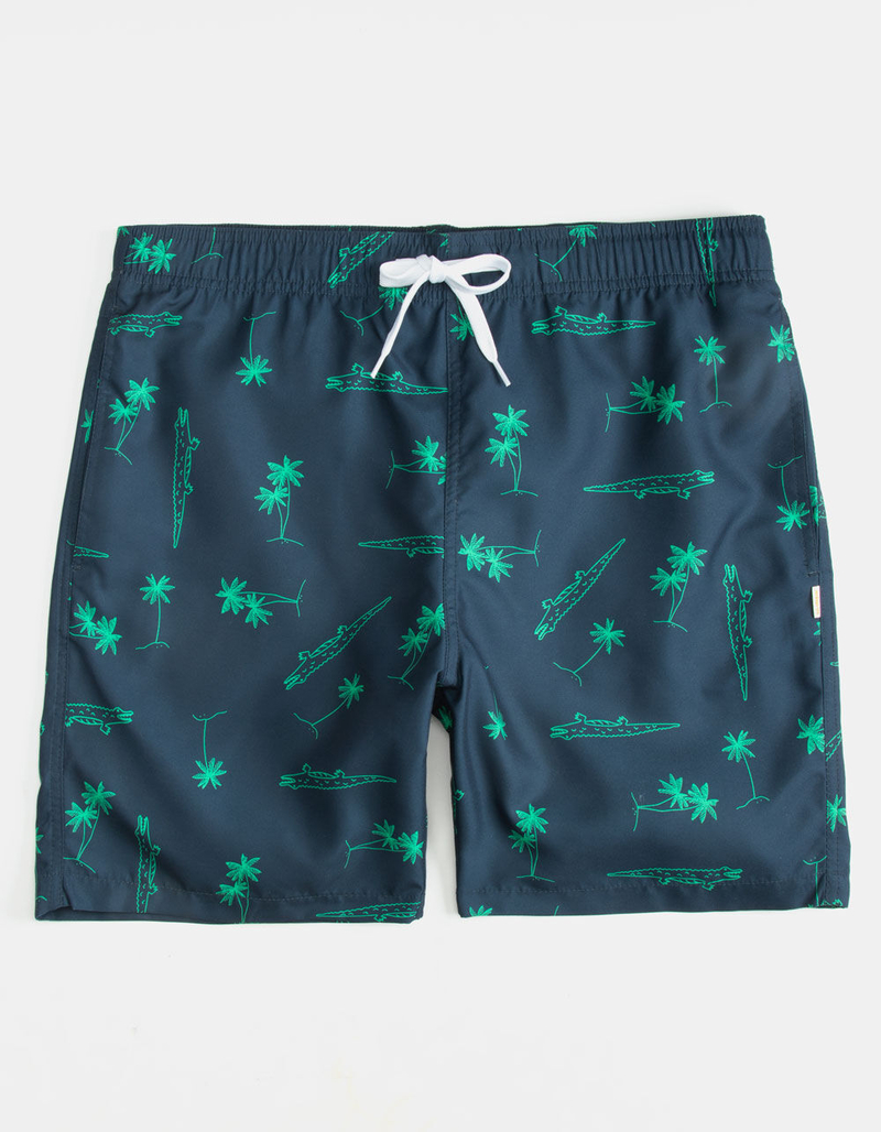 AMBSN Gatro Mens Volley Shorts image number 0