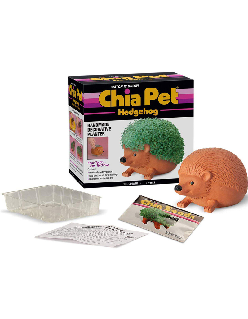Hedgehog Chia Pet image number 1