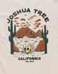 RSQ Mens Joshua Tree National Park Tee image number 5