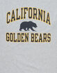 CHAMPION University Of California Mens Tee image number 2
