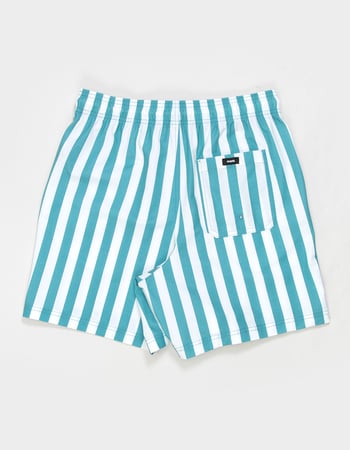 RSQ Mens 6.5" Swim Trunks Alternative Image