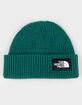 THE NORTH FACE Salty Beanie image number 1