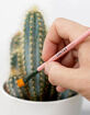 Mini Cactus Cleaners 3 Pack image number 2