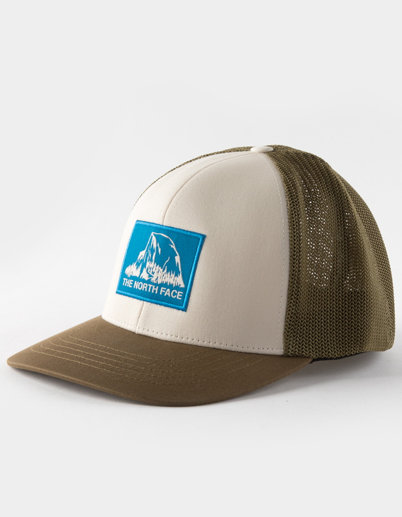 North Face Flexfit Hat