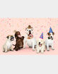 Puparazzi Pawty Hats 3 Pack Pet Hats image number 6