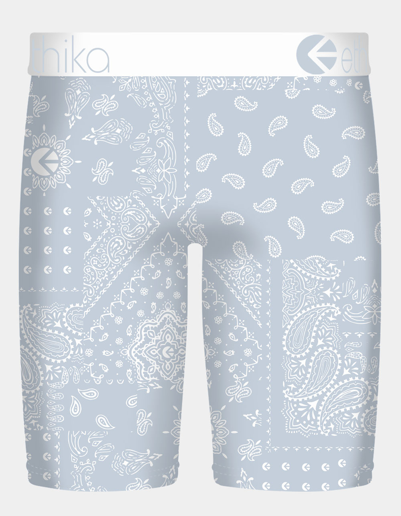 ETHIKA Ice Paisley Staple Mens Boxer Briefs image number 1
