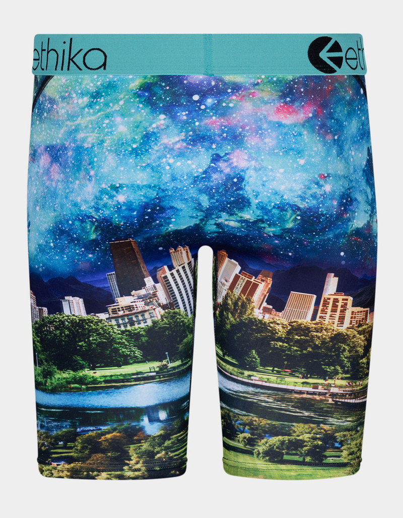 ETHIKA Giraffika Staple Boys Boxer Briefs image number 2