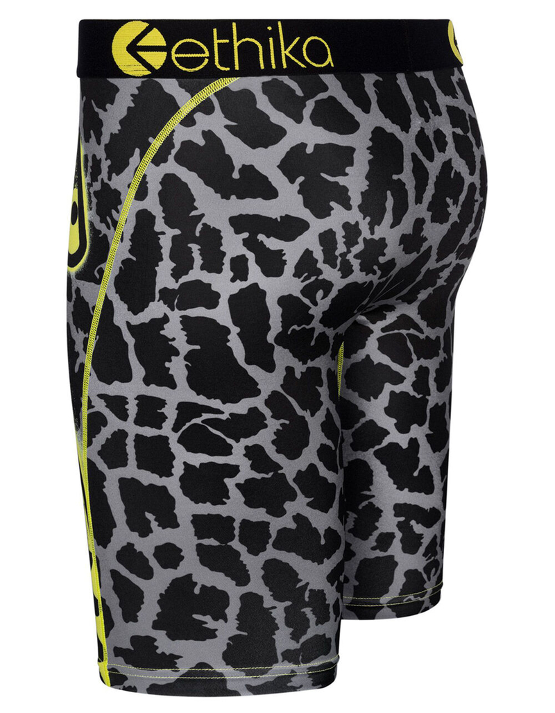 ETHIKA Bomber Giraffe Mens Boxer Briefs image number 1