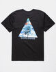 HUF Ice Rose Triangle Mens T-Shirt image number 1