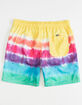 MAUI AND SONS Rainbow Mens Volley Shorts image number 2