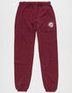DICKIES Boys Jogger Sweatpants image number 1