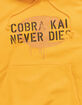 CHAMPION x Cobra Kai Reverse Weave No Mercy Mens Hoodie image number 3