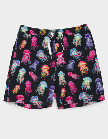 CHUBBIES Don't Be Jellies Boys Lined Swim Trunks Primary Image