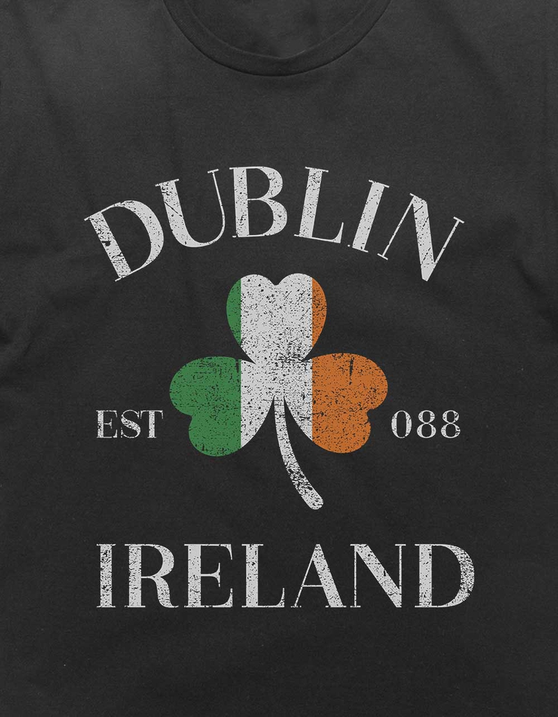 IRELAND Dublin Clover Flag Distressed Unisex Tee image number 1