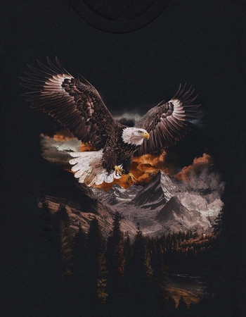 NATURE Mountain Eagle Unisex Tee Alternative Image