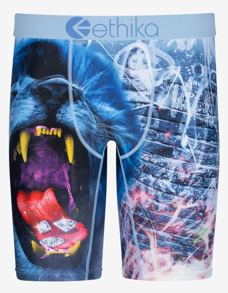 ETHIKA Lion Brix Staple Mens Boxer Briefs image number 0