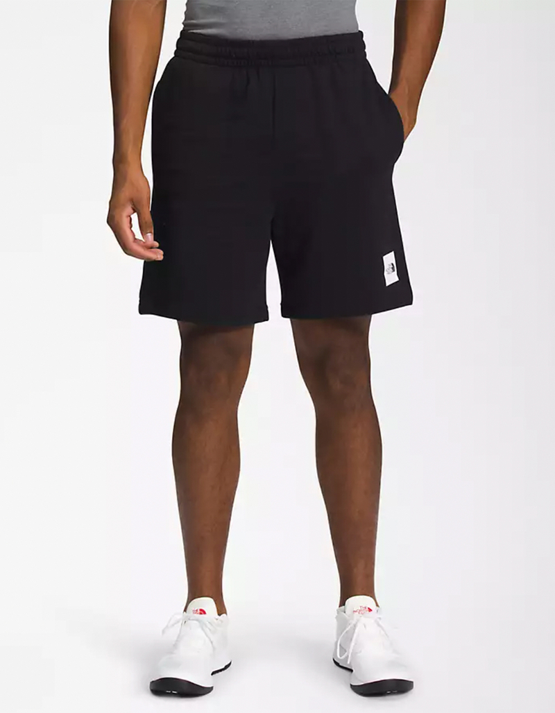 THE NORTH FACE Box NSE Mens Shorts image number 3