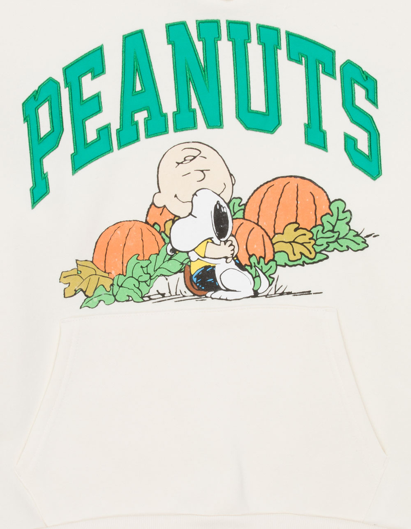 RSQ x Peanuts Pumpkins Mens Hoodie image number 1
