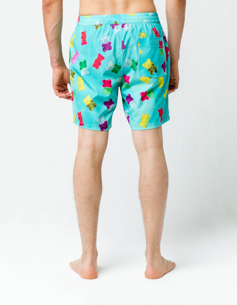 PUBLIC ACCESS Gummies Mens Volley Shorts - MINT | Tillys
